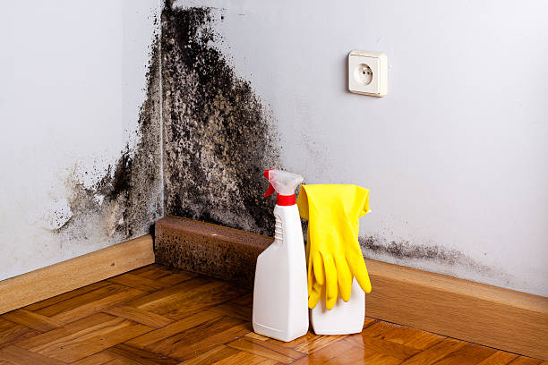 Crawl Space Mold Removal in Balfour, NC